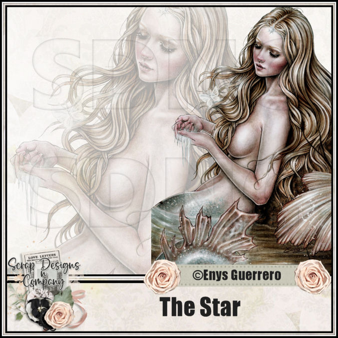(image for) The Star